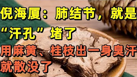 倪海厦：肺结节就是汗孔堵了，用麻黄、桂枝出一身臭汗，就散没了 - 天天要闻