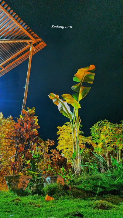 story wa malam || ada rindu