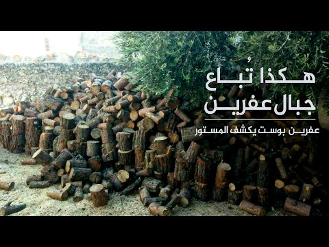 عدسة عفرين بوست ترصد مراكز بيع الحطب التي تفتتحها ميليشيات الجيش الوطني التابعة لأنقرة