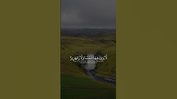 القارئ عبدالله الموسى