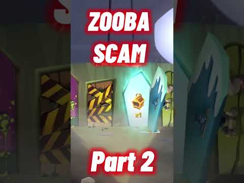 ZOOBA SCAM |Part