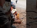 Часть 37 сделал скребок для того чтобы чистить вольер у Мухтара😃 #деревня #рекомендации