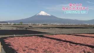 富士山と桜えびの天日干し