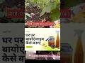 घर पर बायो एंजाइम कैसे बनाएं | Bio Enzyme in 30 Seconds #shorts #bioenzymerecipe