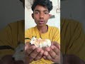 Ramo vlogar