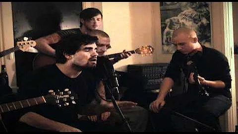 Video 11188741: siamese fighting fish