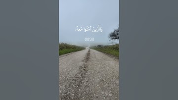القارئ سعد الغامـدي - من سورة التحريم