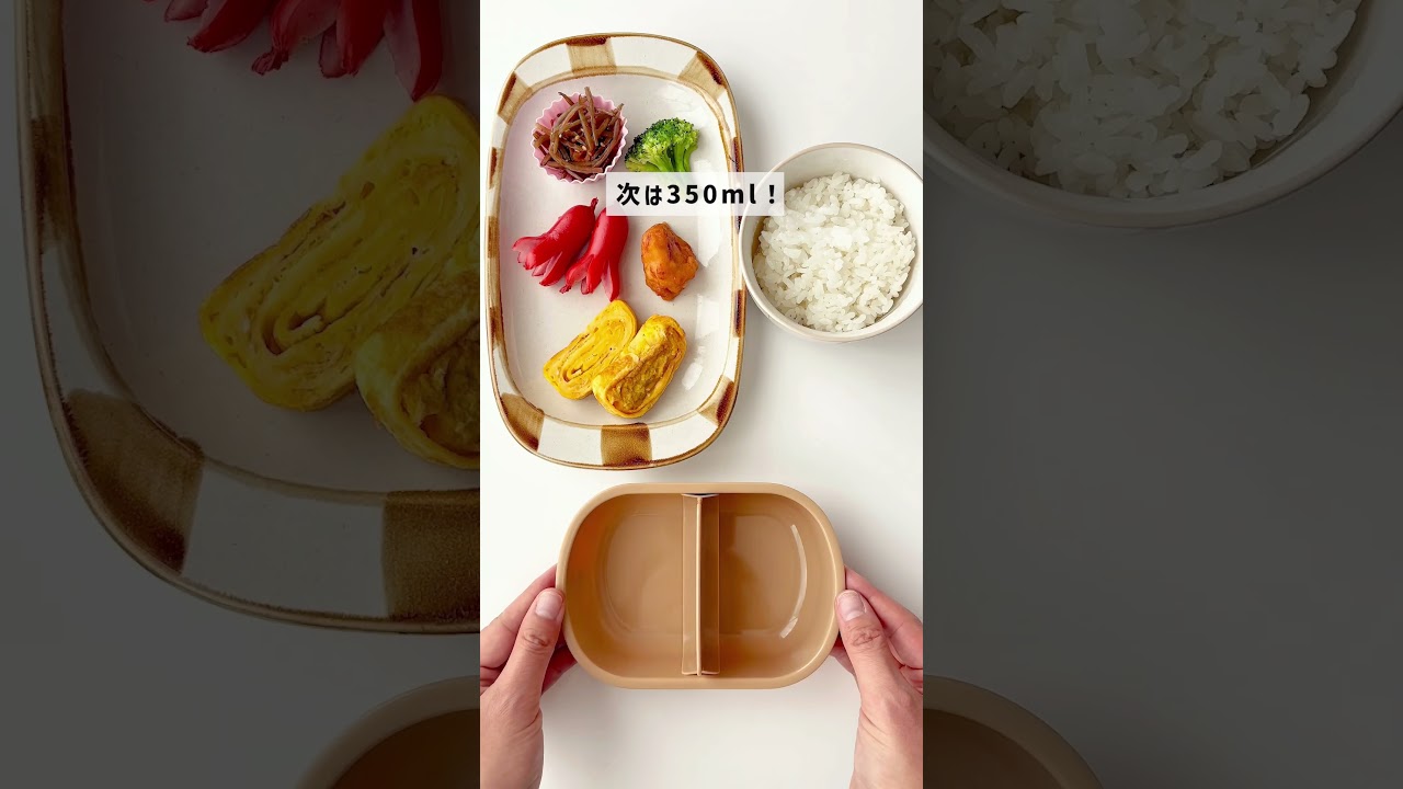 抗菌ふわっとフタタイトランチボックス 1段/360mlとなりのトトロ メイ