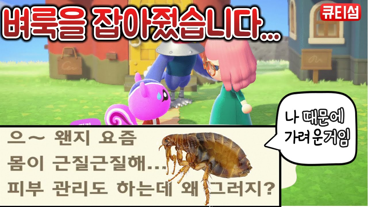 모동숲]주민 벼룩잡기 ! 핑키의 벼룩을 잡아보았습니다. /Animal Crossing - Youtube