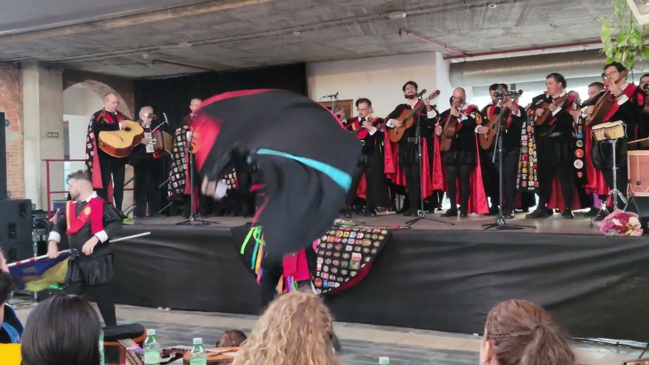 El gato Montés @tunauniversidadlaspalmasde8909