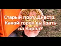 Старый порт .р.Днестр .Какой горох выбрать на КАРПА.