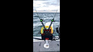 Dipsy Divers Explained - How we run them for Lake Erie Walleye