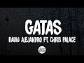 GATAS Rauw Alejandro Ft Chris Palace Letra Lyrics mp3