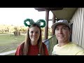 Animal Kingdom Lodge - One Bedroom Villa Savanna View - Room Tour - Walt Disney World