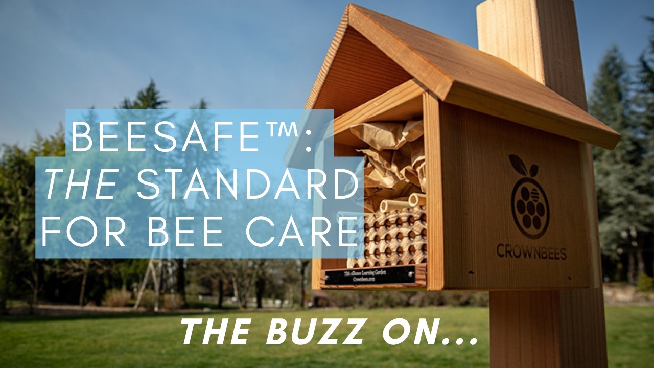 BeeSafe™: THE Standard for Bee Care - YouTube