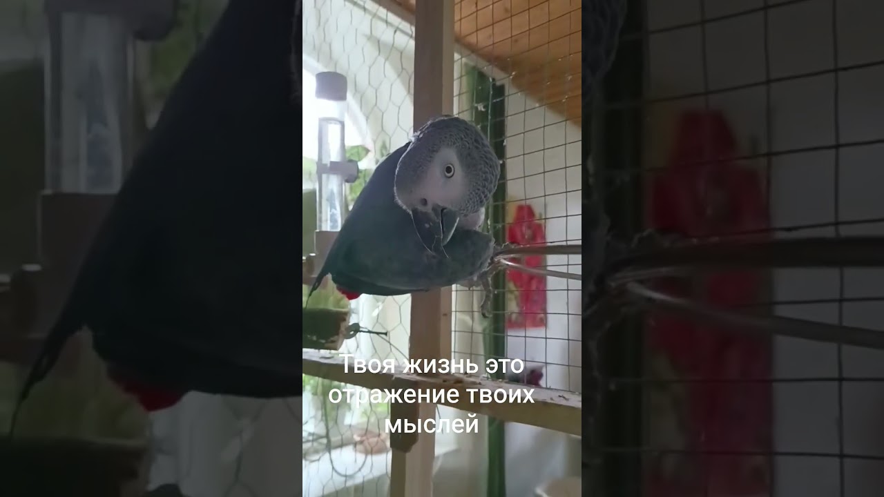 #психология