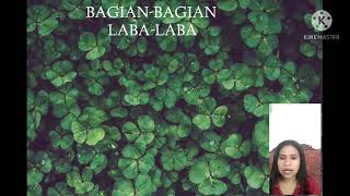 Tugas Entomologi Devi Tauho Plt 1