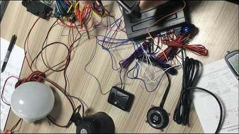 cardot two way car alarm system with mute arm or disarm mode  only flashing light,no sound siren