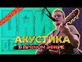 Акустический вечер с Дай Дарогу! (3 часть)