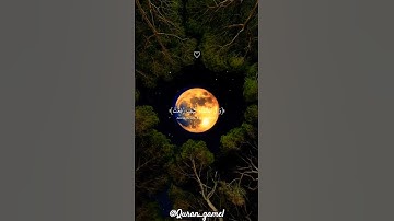 ﴿ أَفَلَا يَنظُرُونَ إِلَى الْإِبِلِ كَيف خلقت ﴾ سوره الغاشية، عبدالرحمن مسعد صوت تقشعر له الأبدان🤍😴