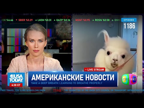 CSBSVNNQ Американские новости — выпуск #1186 от 22.01.2024
