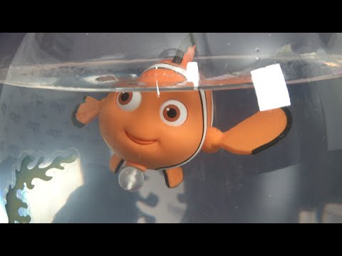 toy nemo