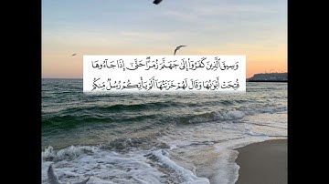 آيات من سورة الزمر بصوت الشيخ.حمزة الفار