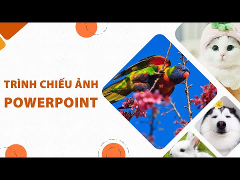 Hướng dẫn trình chiếu ảnh Powerpoint đơn giản mà chuyên nghiệp