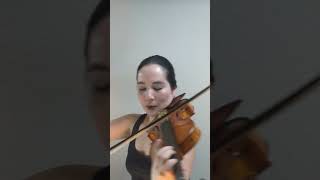 楽興の時が、The Rolling Stones の Paint It, Black になります shorts  violincover アレンジ mix