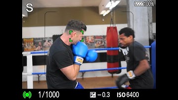 ILCE-7RM2: Flexible Spot AF