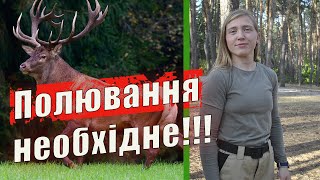 У лісах України збільшилося ДИКОГО ЗВІРА. Чи небезпечно це для людей? Актуально з Волошиним №72