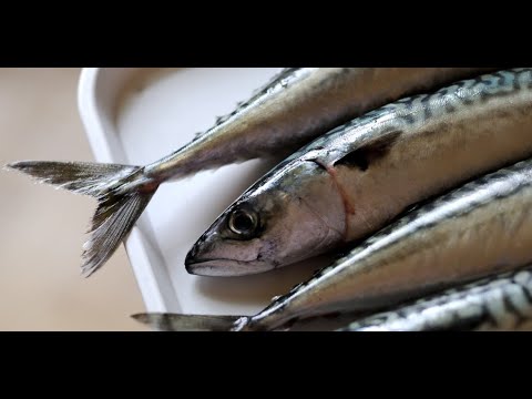 Video: Evde Balık Tuzlamak Ne Kadar Kolay