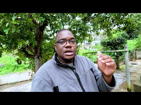 Mwedzi Wapera Uyu Ngatimboonesayi Zvehupenyu