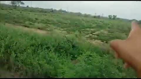 Low Price Plot | Agriculture Land Plot | EMI Plot In Patna | Plot Dekho 2021 | Greater Patna Plot