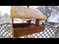 Кормушка для птиц . Зима . Bird feeders . Winter.