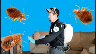 Bed Bug Whisperer Secrets: My EXACT Treatment Plan Revealed! - Bed Bugs Sacramento by Zepol Labs Pest Control 147 views 3 months ago 11 minutes, 52 seconds
