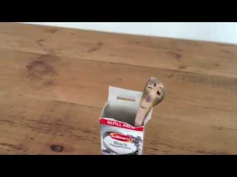 hilarious baby shower games Cobra in Peppercorn Box - WARNING!