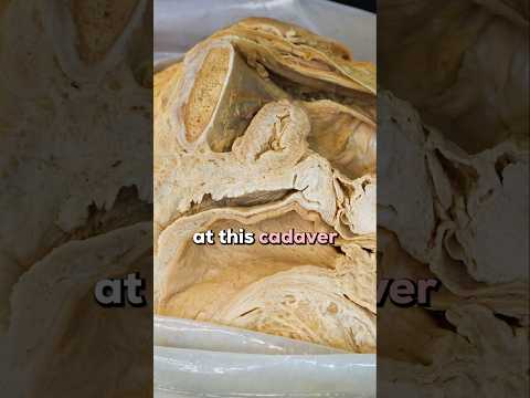 Controversy About Female Erections