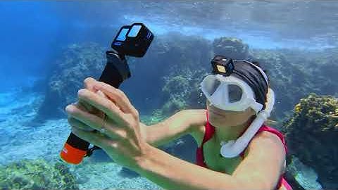 How to Capture Underwater Dive + Snorkel Shots With Your GoPro