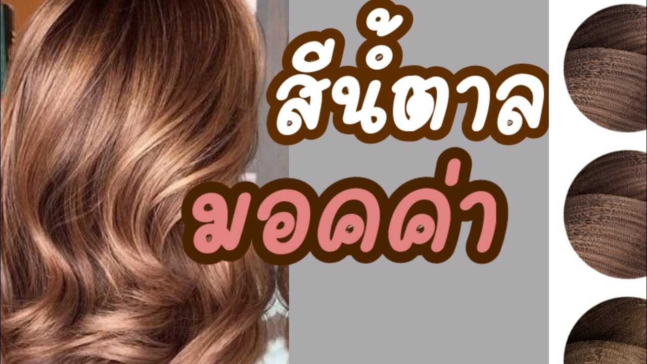 สีผมคนผิวสองสี  New Update  สีนำ้ตาลมอคค่า โทนสี french brown hair colour สีที่เหมาะกับผิวเอเชีย ผิวสองสี ผิวขาว