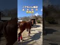 【2025.02.26】さぁ、競技場へ!!ノアちゃん、まさかの乗車拒否!😭(詳細はコメント欄)