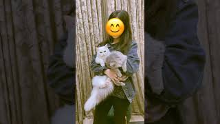 aise jaane Rukmani haran bhajan 😘😘❤️❤️