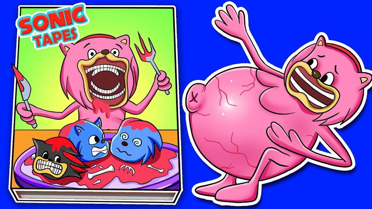 Making AMY SONIC TAPES PREGNANT Game Book（+ Amy Sonic Tapes Squishy) DIY 소닉 테이프