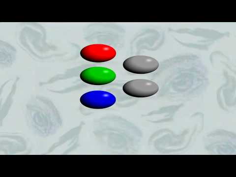 ОСТАРЯЛО БНТ Ефир 2 Две е повече от едно 1993 2000 HD РЕКОНСТРУКЦИЯ