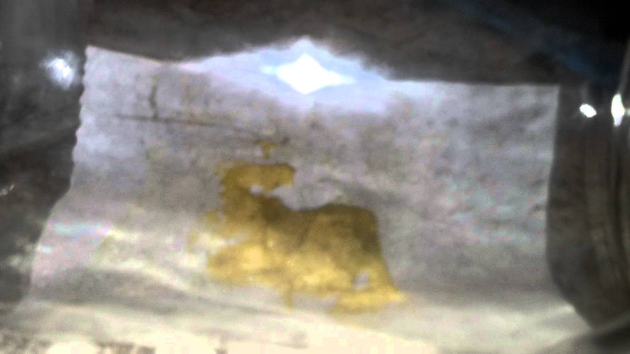 Vac Purge WW Bho AMAZING!