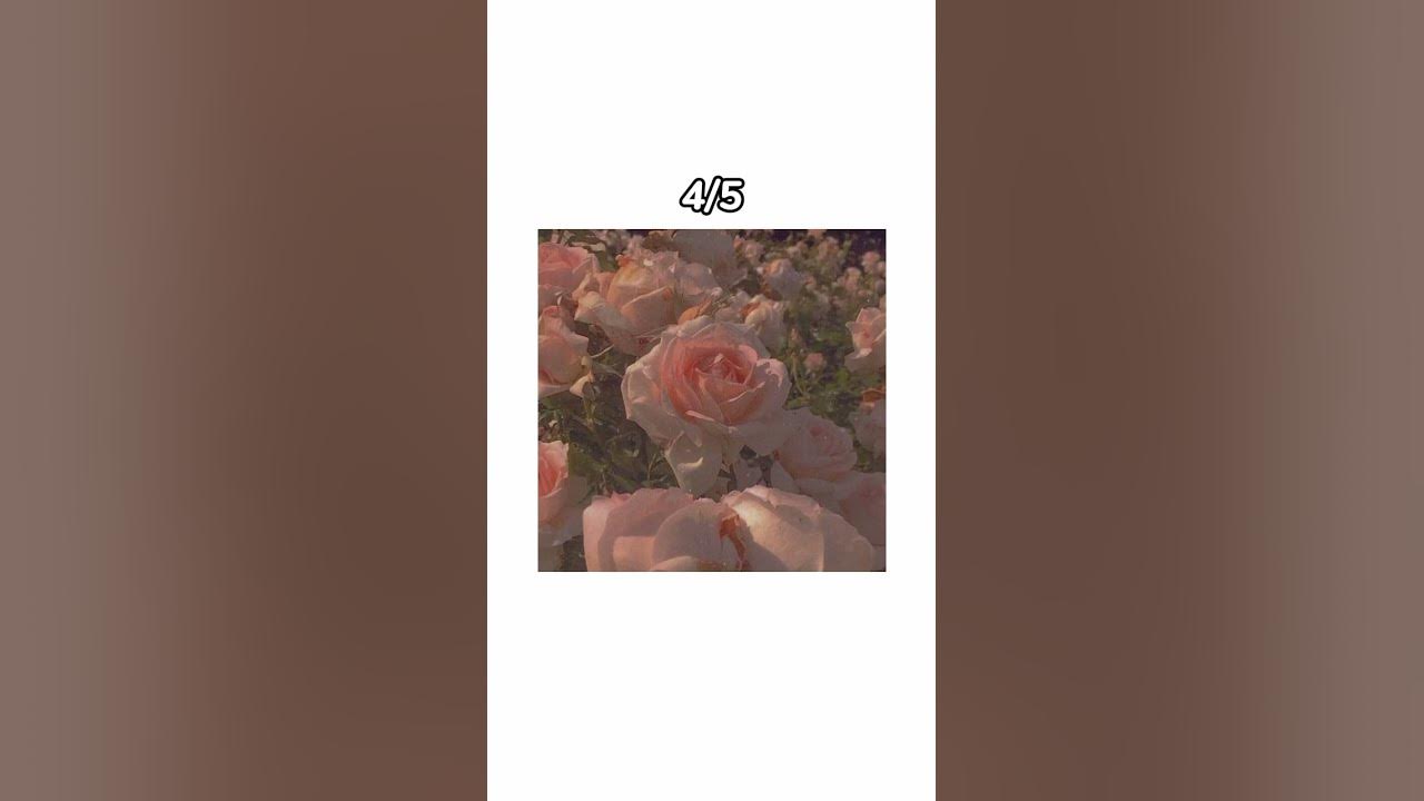 how many Japanese song do you know?🦋#aesthetic #songs #japanesesongs #fypシ #trending #viral #japan how many Japanese song do you know?🦋#aesthetic #songs #japanesesongs #fypシ #trending #viral #japan