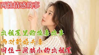 两性情感故事：出租屋里的换妻故事，两对新婚夫妻同住一间狭小的出租屋