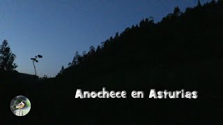 Cae la noche en la primavera asturiana.