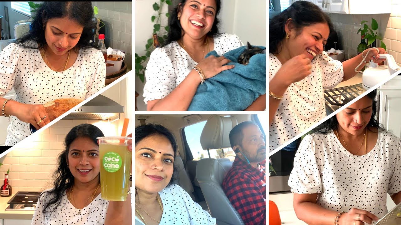 Vada Curry | Airport Pick Up | USA Vlog | Cats | Tuna Salad | Daily Routine Vlog | Gowri and Gowri |