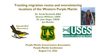 Tracking migration routes and overwintering locations of the Western Purple Martin